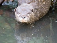 DSC 4091 : Jersey Zoo
