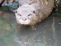 DSC 4092 : Jersey Zoo
