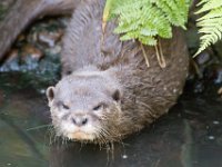 DSC 4094 : Jersey Zoo