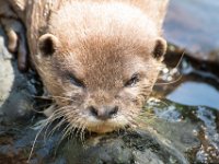DSC 4098 : Jersey Zoo