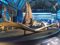 DSC 4470 : London