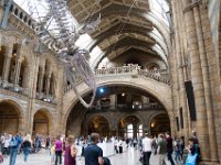 DSC 4478 : London