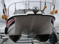 DSC 2379