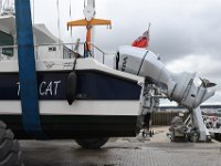 DSC 2397