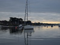 DSC 8553