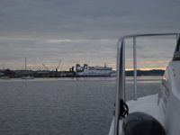 DSC 8554