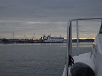 DSC 8556