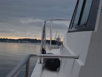 DSC 8575