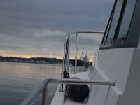 DSC 8578