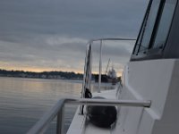 DSC 8579