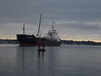 DSC 8582