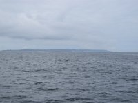 DSC 8598