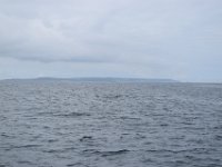 DSC 8599