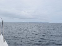 DSC 8600