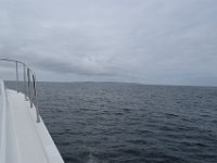 DSC 8601