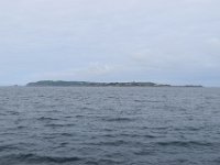 DSC 8604