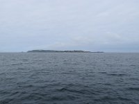 DSC 8605