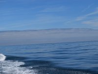 DSC 8614