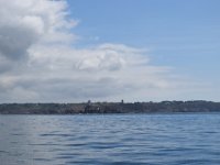 DSC 8624