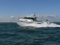 DSC 4389