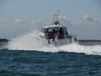 DSC 4401