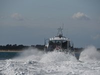 DSC 4420
