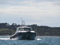 DSC 4428