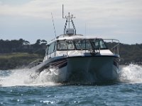 DSC 4434