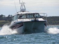 DSC 4435