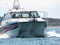 DSC 4440
