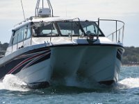 DSC 4441