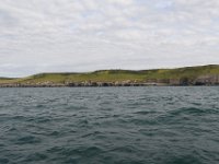 DSC 4161
