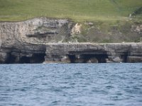 DSC 4164