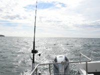 DSC 4169