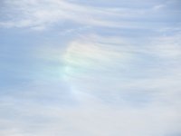DSC 4181