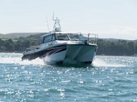 DSC 4200 : TopCat July 2017