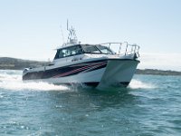 DSC 4210 : TopCat July 2017