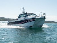 DSC 4211 : TopCat July 2017