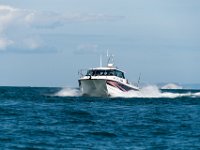 DSC 4239 : TopCat July 2017
