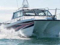 DSC 4453 : TopCat July 2017