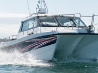 DSC 4454 : TopCat July 2017