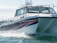 DSC 4455 : TopCat July 2017
