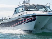 DSC 4456 : TopCat July 2017