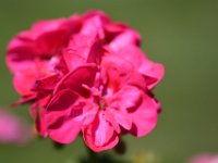 DSC 0869