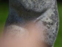 DSC 0877