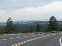 DSC 8223
