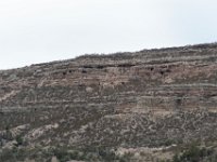 DSC 8228