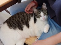 20180414 142054