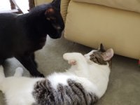 20180415 142258