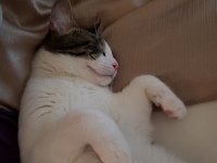 20180422 115121